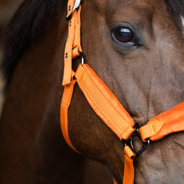 Halster HV Polo Luxury Pompoen Oranje