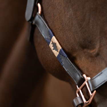 Licol HV Polo Chaya Marron / marine