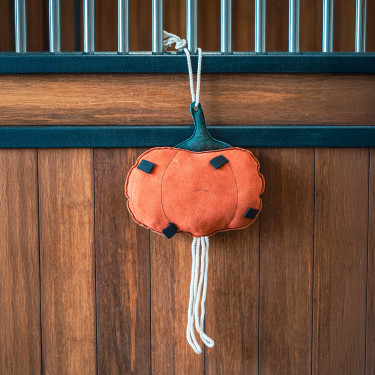 Jouet de box HV Polo Pumpkin Citrouille Multi-couleurs
