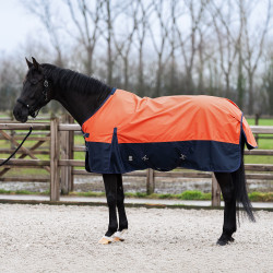 Couverture de paddock Imperial Riding Limited Summer avec couvre-cou Orange / marine