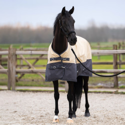 Couverture de paddock Imperial Riding Limited 100gr avec couvre-cou Beige / gris