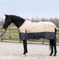 Couverture de paddock Imperial Riding Limited 100gr avec couvre-cou Beige / gris