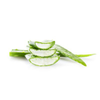Gel d’Aloe Vera ESC... Gel d’Aloe Vera ESC...