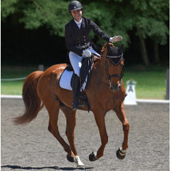 Scoot Boots Dressage Scoot Boots Dressage