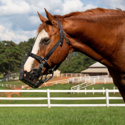 Greenguard mand Zwart Greenguard mand Zwart