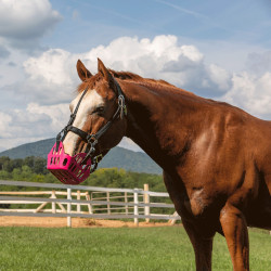 Greenguard mand Roze Greenguard mand Roze