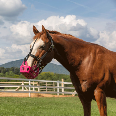 Greenguard mand Roze Greenguard mand Roze