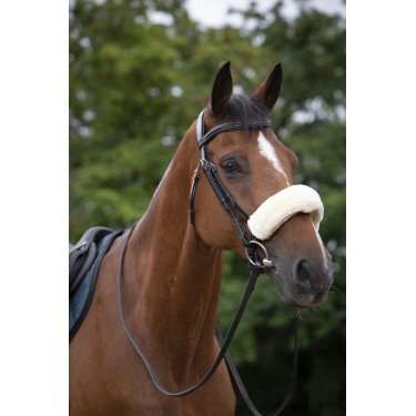 Neusriemhoes Equithème Teddy Neusriemhoes Equithème Teddy