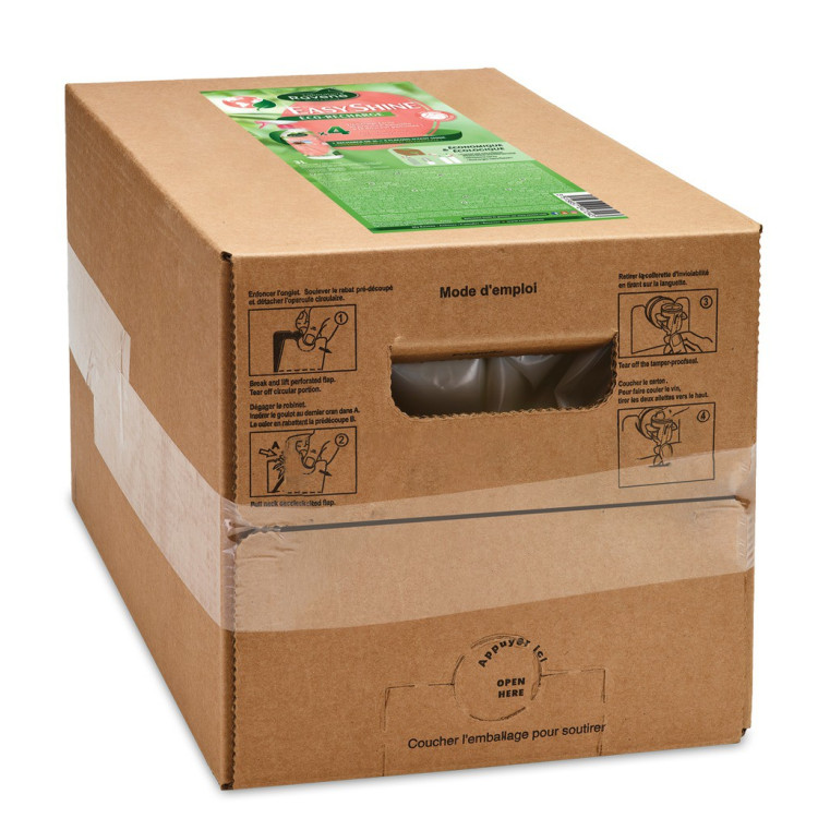 Easy Shine Ravene Eco-Recharge Easy Shine Ravene Eco-Recharge