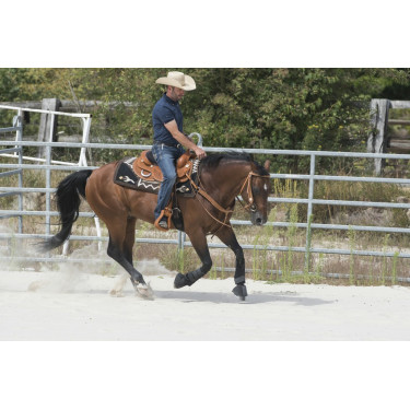Selle Westride by Franck Perret Aurora Selle Westride by Franck Perret Aurora