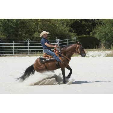 Selle Westride by Franck Perret Aurora Selle Westride by Franck Perret Aurora