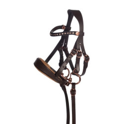 Bridon cuir Or rose Hobby Horsing HKM