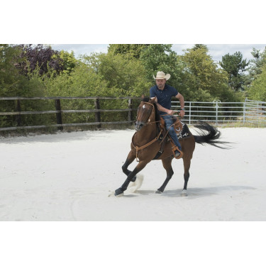 Selle Westride by Franck Perret Aurora Selle Westride by Franck Perret Aurora