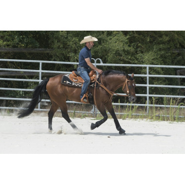 Selle Westride by Franck Perret Aurora Selle Westride by Franck Perret Aurora