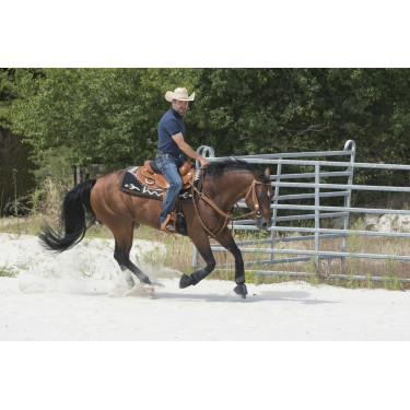 Selle Westride by Franck Perret Aurora Selle Westride by Franck Perret Aurora
