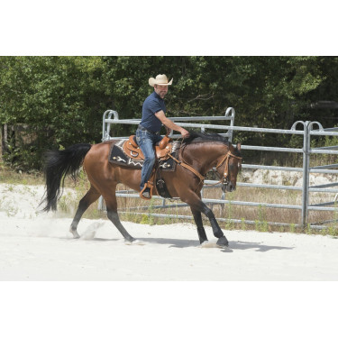 Selle Westride by Franck Perret Aurora Selle Westride by Franck Perret Aurora