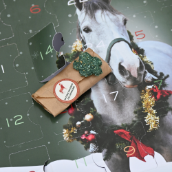 Calendrier de l'avent Natural'Christmas Gourmet 2026 Natural'Innov