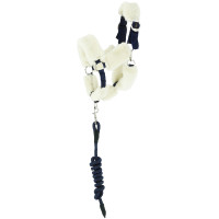 Hobby Horse Pony Academy Halster + longeerlijn EK-Teddy Zwart