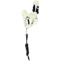 Hobby Horse Pony Academy Halster + longeerlijn EK-Teddy Zwart
