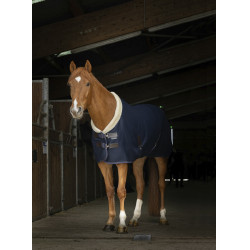 Mesh overhemd Equithème Teddy