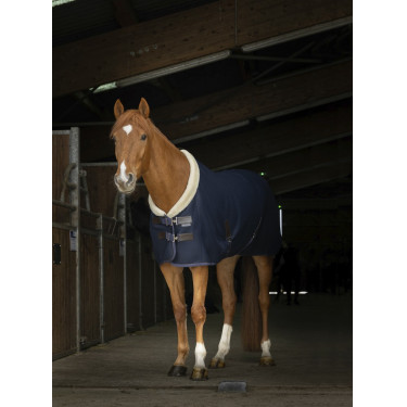 Mesh overhemd Equithème Teddy