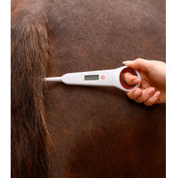 Digitale thermometer voor paarden Waldhausen Wit