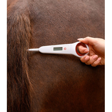 Digitale thermometer voor paarden Waldhausen Wit