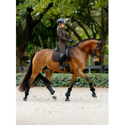 Brilliance Dressuur Zadeldek LeMieux Espresso Bruin