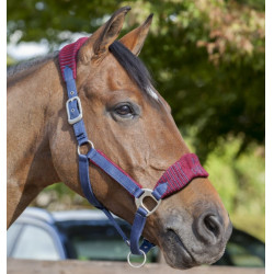 Halster en longe Lemieux Vogue Halster en longe Lemieux Vogue