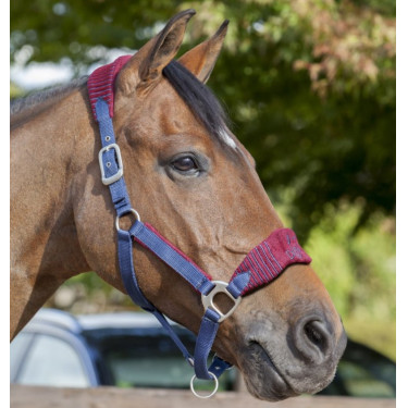 Halster en longe Lemieux Vogue Halster en longe Lemieux Vogue