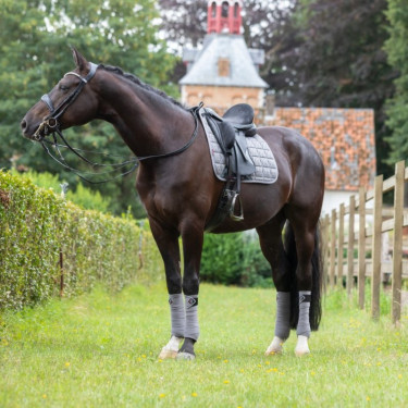 Dressuurdekje LeMieux Carbon Mesh Square Grijs Dressuurdekje LeMieux Carbon Mesh Square Grijs