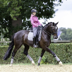 Tapis dressage LeMieux Carbon Mesh Square Gris Tapis dressage LeMieux Carbon Mesh Square Gris