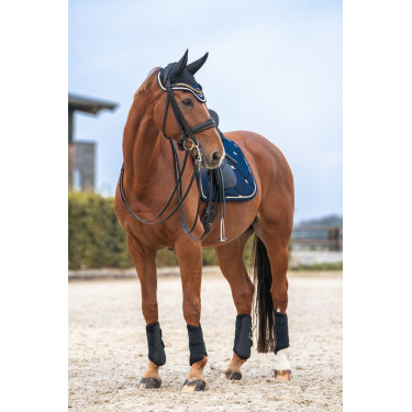 Paardennethoed Night Collection Back On Track Paardennethoed Night Collection Back On Track