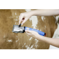 Torqui Aesculap Econom