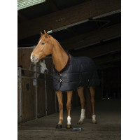 Staldeken Equithème Teddy Noir / marron