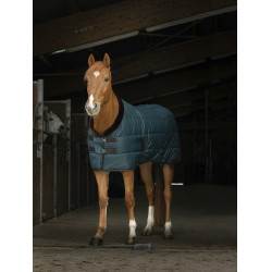 Couverture d'écurie Equi-Theme Teddy Vert / marron