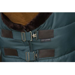 Couverture d'écurie Equi-Theme Teddy Vert / marron
