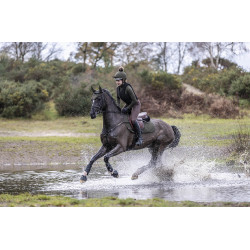 Sous-vêtement technique My LeMieux Oak green Vert