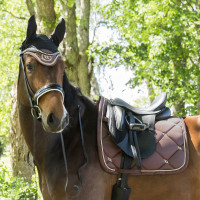 Tapis de Selle Dressage Night Collection Back On Track Café Marron Tapis de Selle Dressage Night Collection Back On Track Café Marron