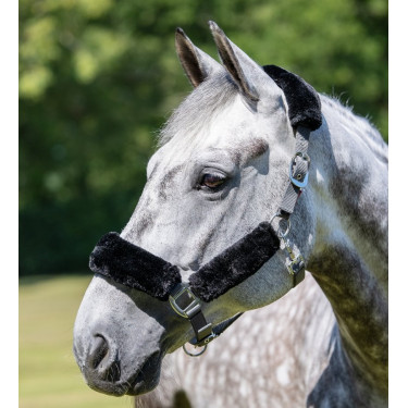 Licol LeMieux Confort Gris / noir