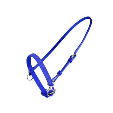 KLEIN NYLON HALSTER MET RING Blauw KLEIN NYLON HALSTER MET RING Blauw