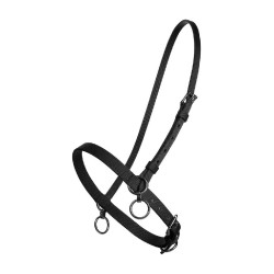 PETIT LICOL NYLON AVEC ANNEAU Noir