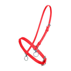 KLEIN NYLON HALSTER MET RING Rood