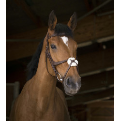 Bridon Norton Pro met kruisneusriem