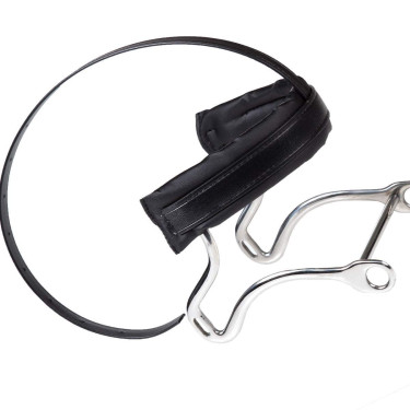 HACKAMORE MET RIEM