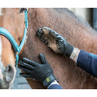 Gant de pansage LeMieux Hands On Noir Gant de pansage LeMieux Hands On Noir
