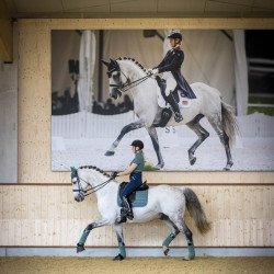 Tapis dressage LeMieux Carbon Mesh Square Sage Bleu Tapis dressage LeMieux Carbon Mesh Square Sage Bleu