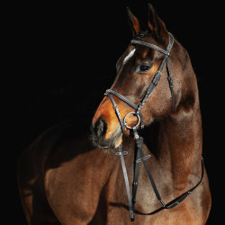 Filet Constance Horze Noir