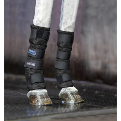 Koelende peesbeschermers Artic Ice LeMieux Zwart Koelende peesbeschermers Artic Ice LeMieux Zwart