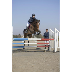 Blouson Pro Series Equilibre Bleu marine Blouson Pro Series Equilibre Bleu marine